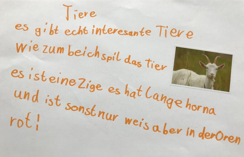 Lesen durch Schreiben / Schreiben nach Gehör füllt die Lerntherapiepraxen